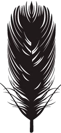 pluma